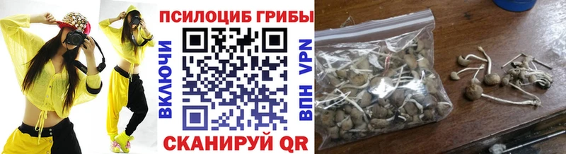 Псилоцибиновые грибы Magic Shrooms  купить закладку  Щёлково 